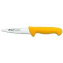 ARCOS 2900 | Mäsiarsky nôž