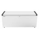 Liebherr EFL 6055 | Chest freezer