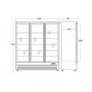 DF1563BD | Triple door display freezer