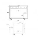 IC306D | Mraziaca truhlica